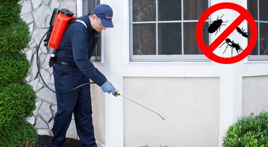 Mamak Böcek İlaçlama böcek ilaçlama ve haşere kontrolü — ilaclama-tr.com